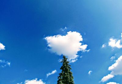 Low angle view of tree against sky