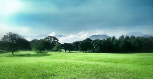 Scenic view of grassy field against cloudy sky