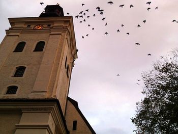 Low angle view of bird flying in sky