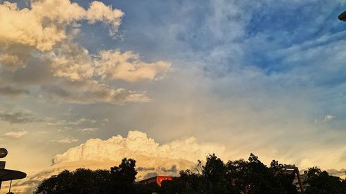 Low angle view of trees against sky during sunset