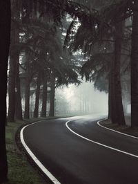 Empty road along trees