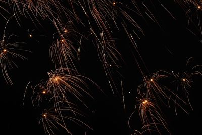 Low angle view of firework display at night