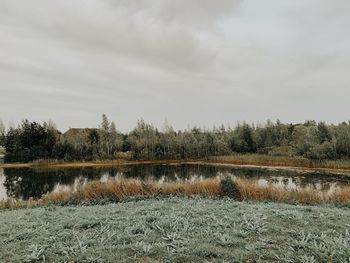 Scenic view of field against sky