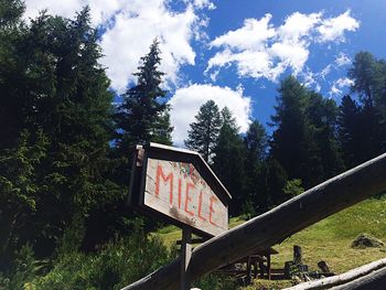 Low angle view of text on tree against sky