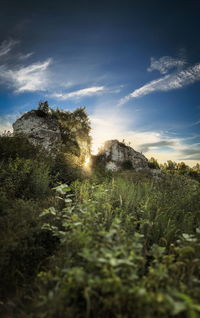 nature
