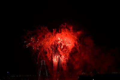 Low angle view of firework display at night