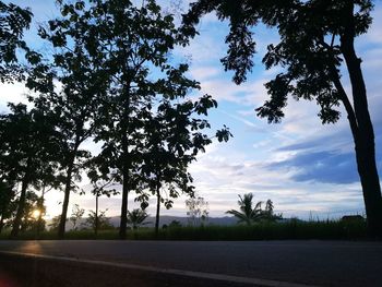 Silhouette trees by road against sky during sunset