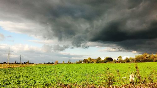 Scenic view of agricultural field against cloudy sky