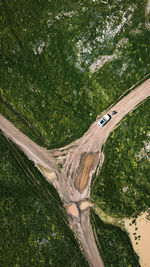 High angle view of road amidst trees on field