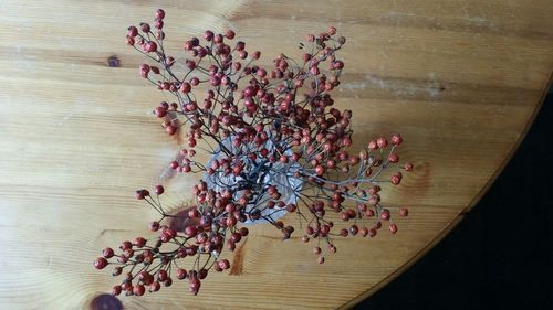 Close-up of flowers on table