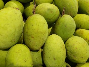Full frame shot of mango fruits