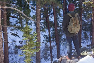 Rear view of man standing amidst trees in forest during winter