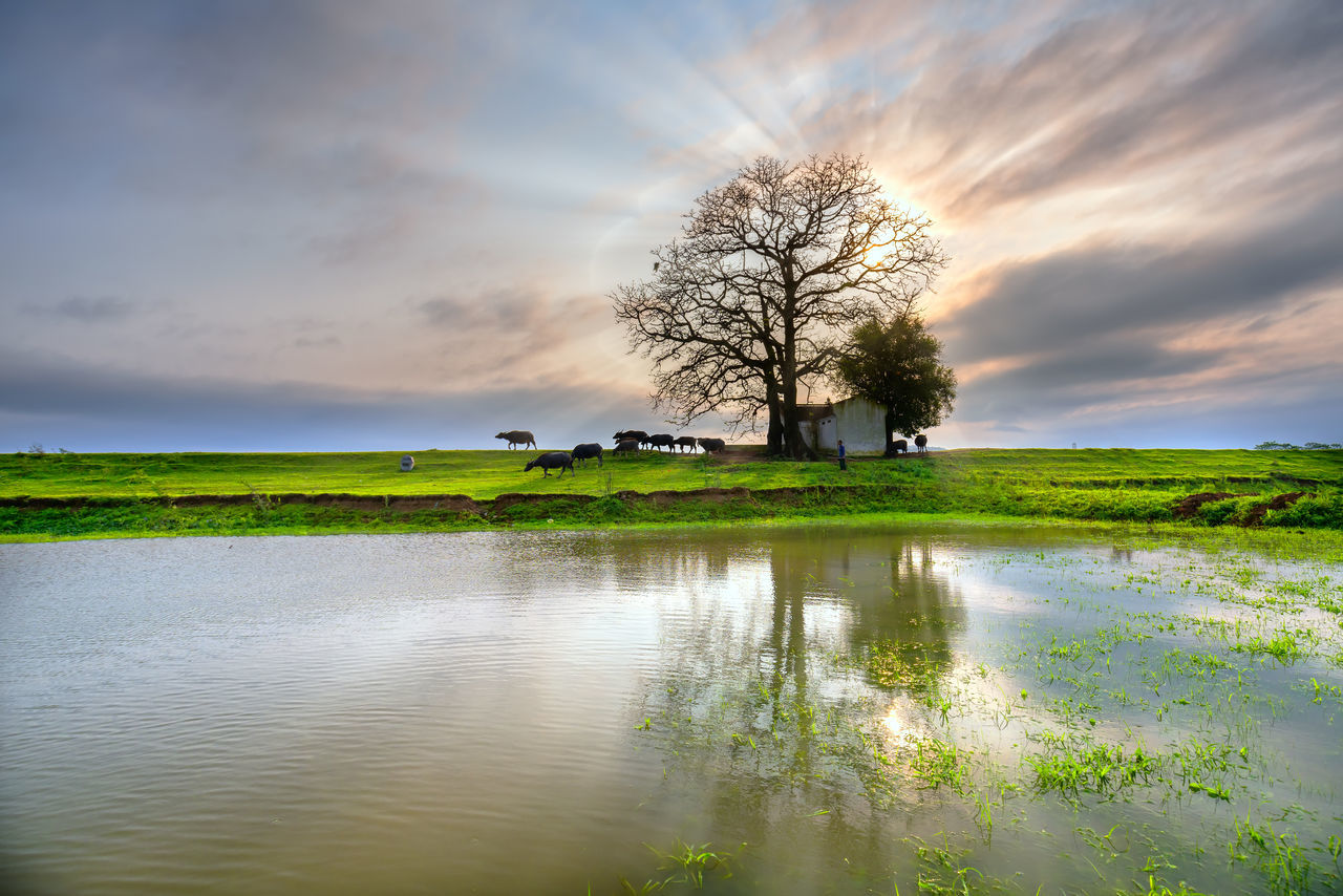 SCENIC VIEW OF LAKE AGAINST SKY DURING SUNSET