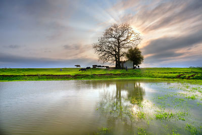 Scenic view of lake against sky