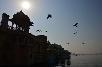 Low angle view of silhouette birds flying against sky during sunset