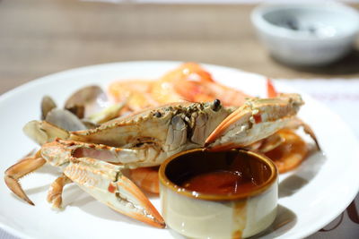 Close-up of food in plate