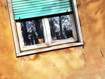 Close-up of window