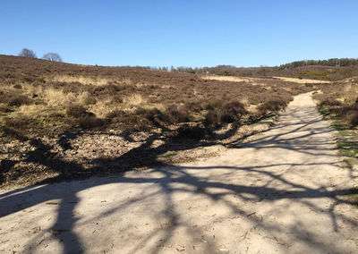 Scenic view of road amidst field against clear blue sky