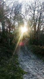 Scenic view of forest against sky during sunset