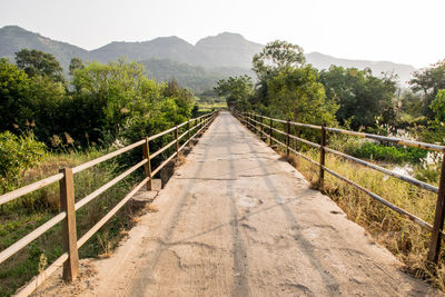 Walkway amidst plants and trees over bridge