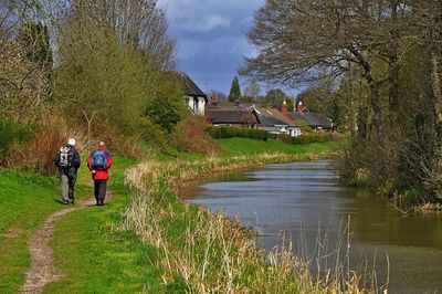 Rear view of people walking by plants