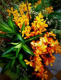 Close-up of yellow flower