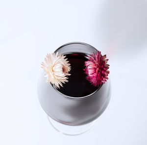 High angle view of flower on white background