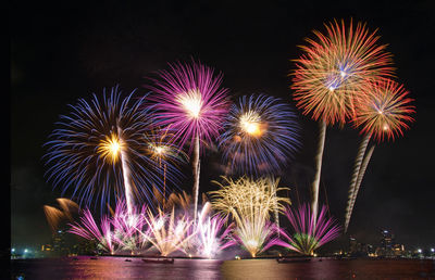 Firework display at night