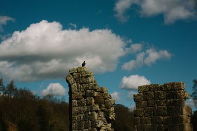 Low angle view of bird perching on wall against sky