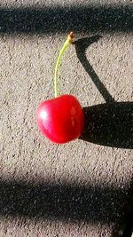 High angle view of strawberry on floor