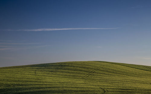 Scenic view of agricultural field against sky