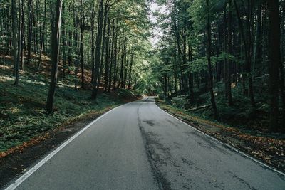 Empty road along trees in forest