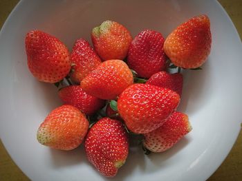 High angle view of strawberries in plate