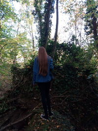 Rear view of young woman standing in forest