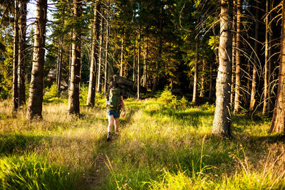 Rear view of woman hiking in forest