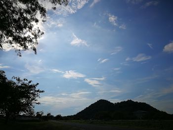 Low angle view of silhouette trees on field against sky