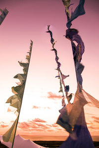 Low angle view of flags against sky during sunset