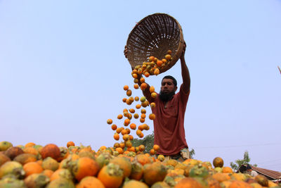 Betel nuts or areca nuts processing.