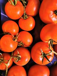 High angle view of tomatoes for sale in market