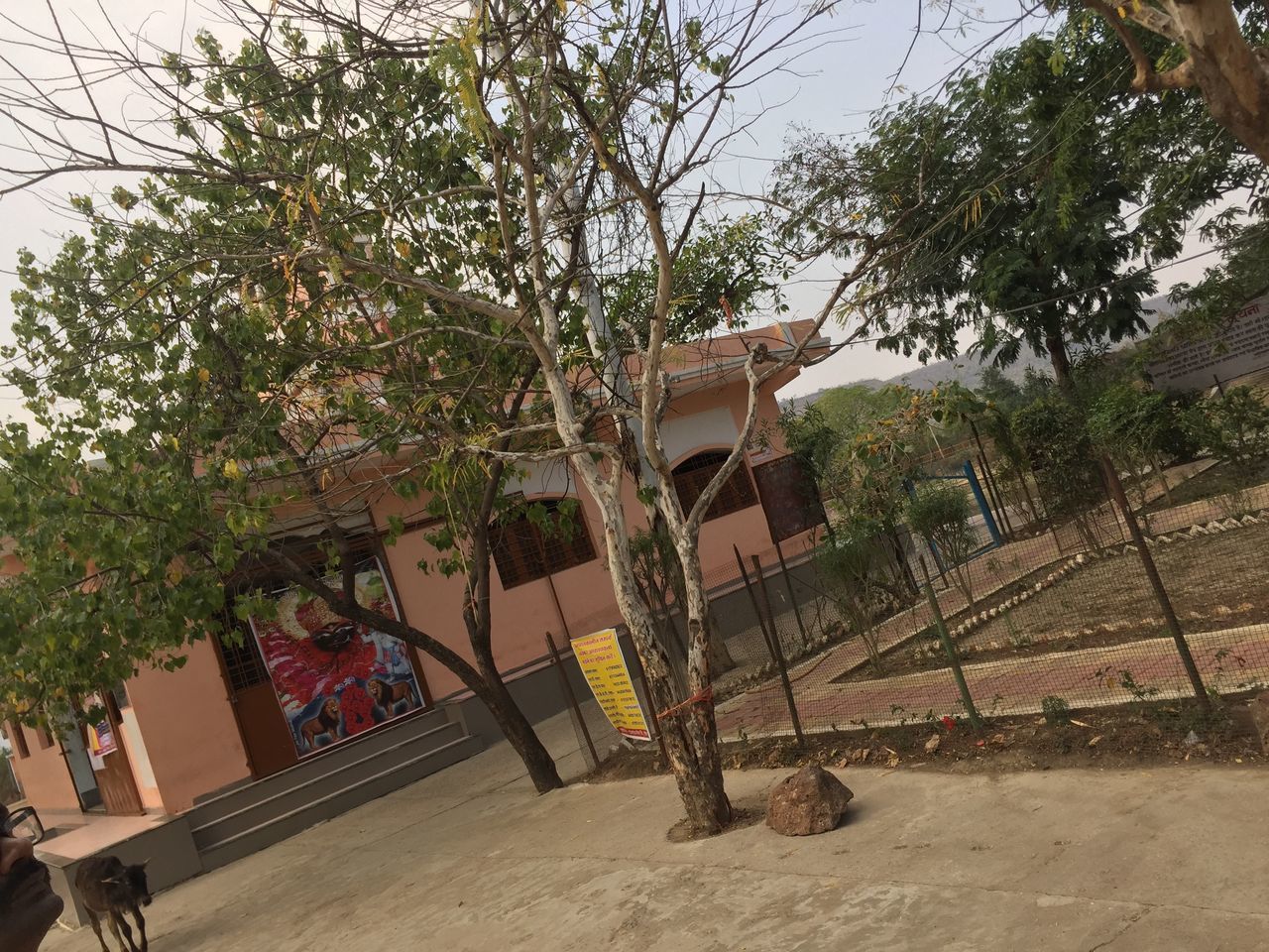 HOUSE BY TREE AGAINST SKY