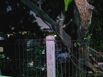 View of abandoned house at night