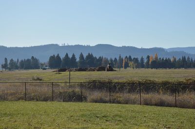 Scenic view of field against clear sky