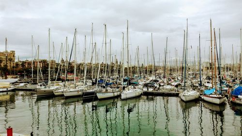 Sailboats moored at harbor against sky