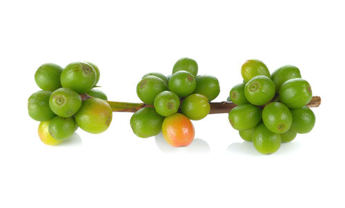 Directly above shot of fruits on white background