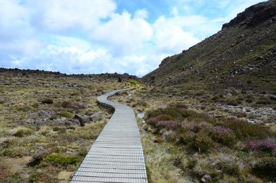 Narrow wooden pathway along plants on field