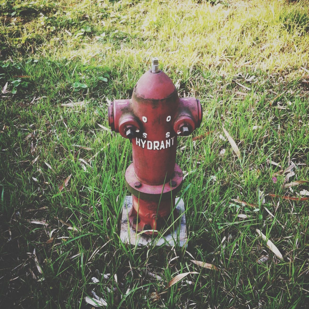 grass, field, high angle view, grassy, toy, no people, close-up, red, outdoors, green color, day, plant, human representation, growth, front or back yard, domestic animals, sunlight, animal representation, abandoned, metal