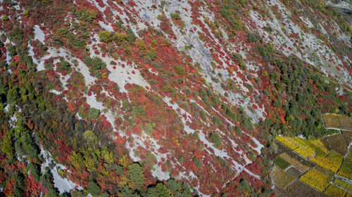 Full frame shot of multi colored wall