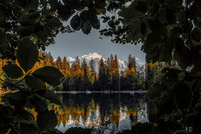 Reflection of trees on lake during autumn