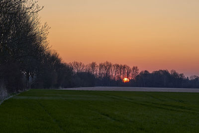 Scenic view of grassy field against sky during sunset