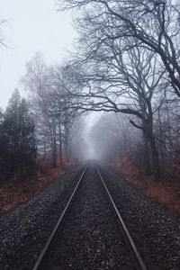 Railroad tracks amidst trees against sky